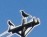 Flying Hippo Billboard