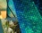 Web_Zhen_2_w