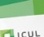 Case_ICUL_2