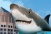 Enviro_MetaOut_blbd_3